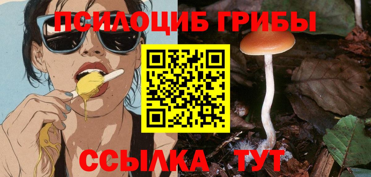 Арсеньев  Псилоцибиновые грибы GOLDEN TEACHER  Вход с VPN 